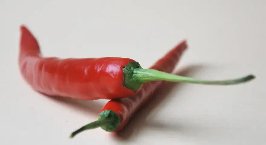 Dos chiles rojos brillantes con tallos verdes sobre fondo claro.