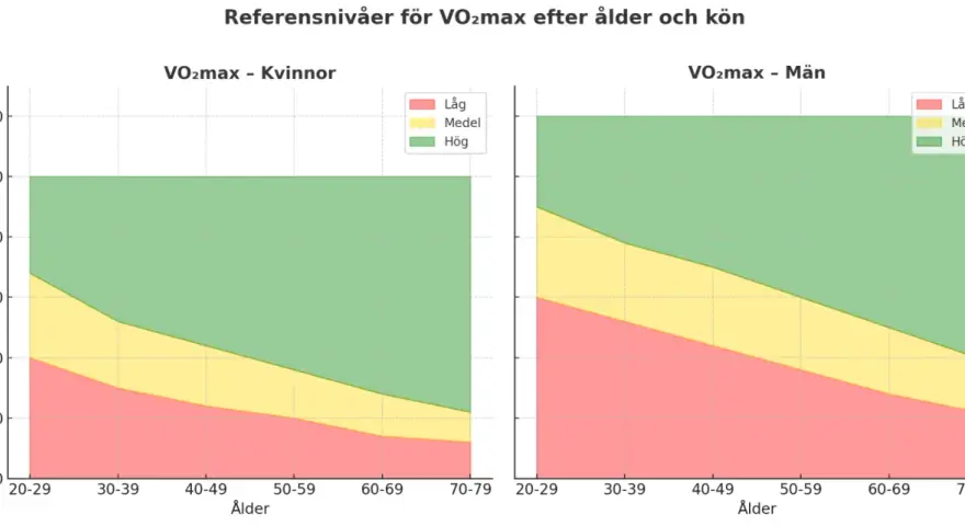 Vo2 max tabell visar referensnivåer för kvinnor och män uppdelat på ålder och konditionsnivå (låg, medel, hög).