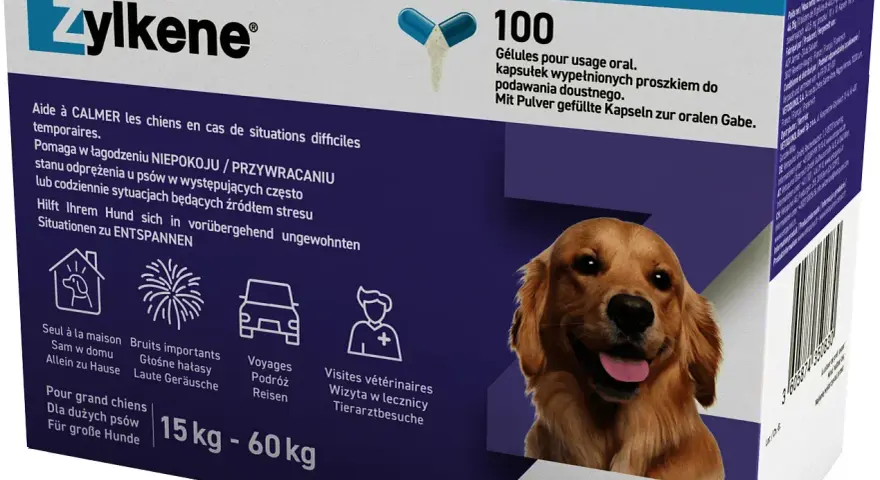 Najlepsze leki na uspokojenie dla psa - naturalne i farmaceutyczne opcje