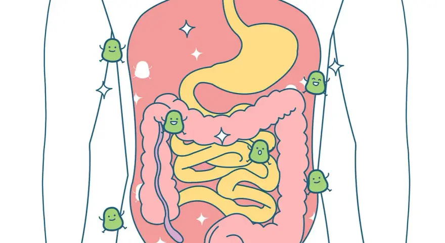 Ilustracja układu pokarmowego z uśmiechniętymi zielonymi postaciami, symbolizującymi zdrowie po odrobaczeniu dziecka.