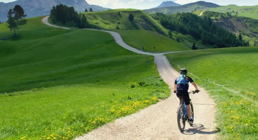 Rowerzysta przemierza malowniczą dolnośląską krainę rowerową, wijącą się wśród zielonych wzgórz i kwiecistych łąk.