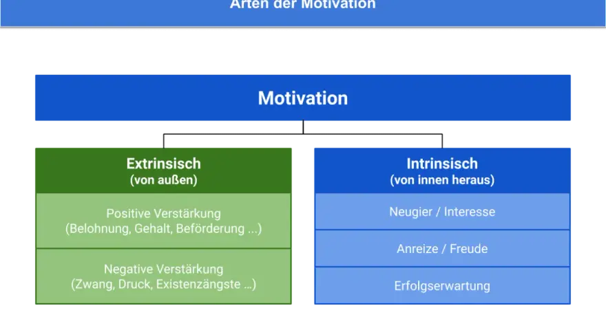 Diagramm zeigt Motivation, aufgeteilt in extrinsisch (von außen, z.B. Belohnung) und intrinsisch (von innen, z.B. Neugier).