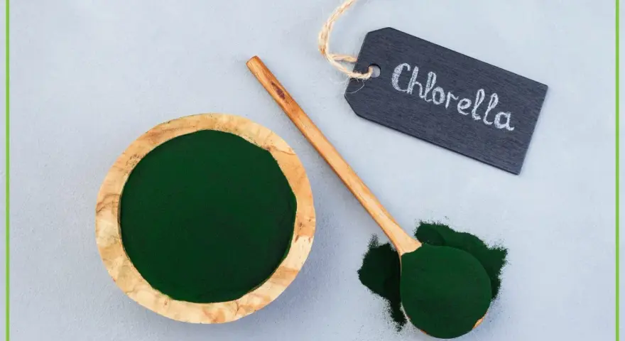 Chlorella tabletki na co pomaga? Zielony proszek w miseczce i na łyżce, obok tabliczka z napisem "Chlorella".