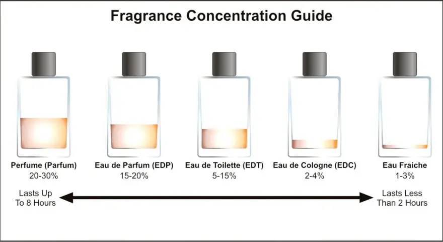 Eau de Toilette oder Eau de Parfum – Welche Wahl ist die richtige für dich?