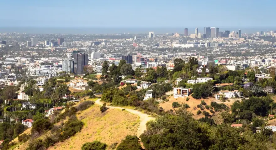 Widok na Los Angeles, miasto śmierci, z wzgórz porośniętych suchą trawą i drzewami. W oddali widać drapacze chmur.