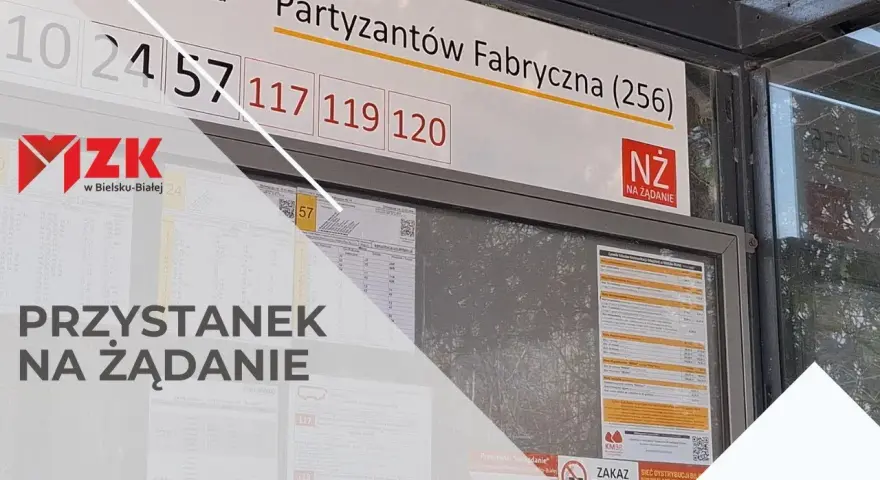 Skąd odjeżdża autobus Auchan Bielsko? Sprawdź najbliższe przystanki