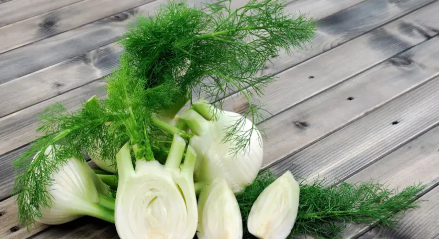 Frischer Fenchel, oft als wohltuend in der Schwangerschaft empfohlen, liegt auf einer Holzoberfläche.
