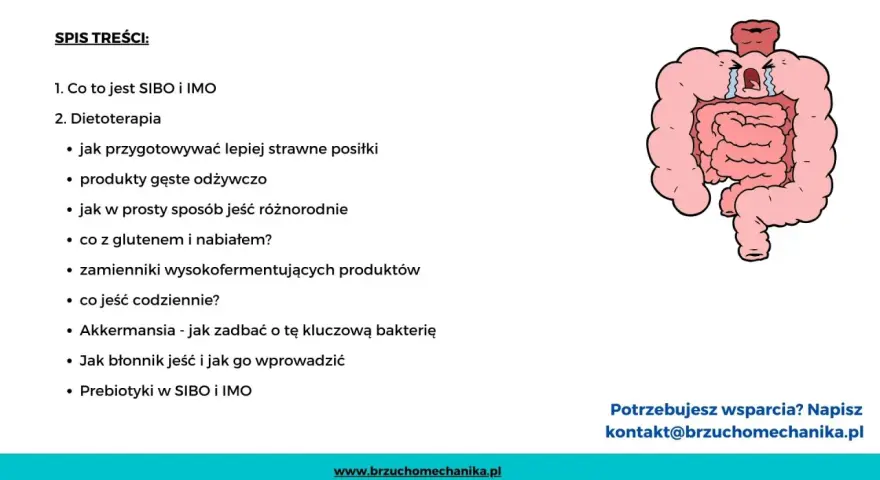 Ilustracja przedstawia jelita, które mogą być powiązane z **sibo przyczyny**. Spis treści omawia dietoterapię i sposoby radzenia sobie z problemami jelitowymi.