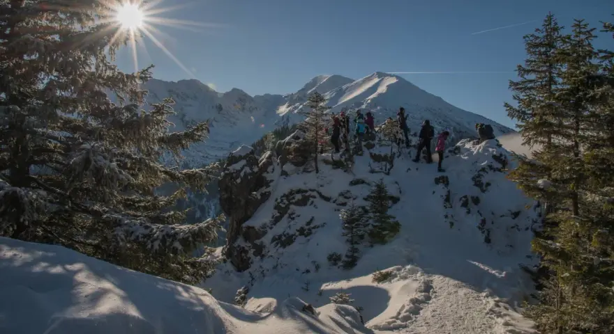 Grupa turystów na ośnieżonym szczycie. Słońce przebija się przez gałęzie świerków. Tatry zimą dla średniozaawansowanych.