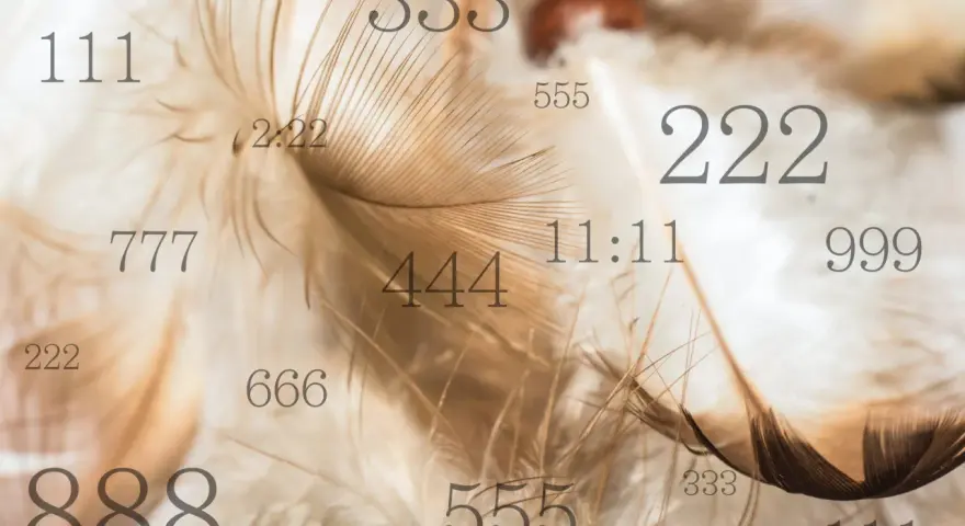 Delikatne pióra otulają anielskie liczby: 111, 222, 333, 444, 555, 666, 777, 888, 999, 11:11 i 2:22.