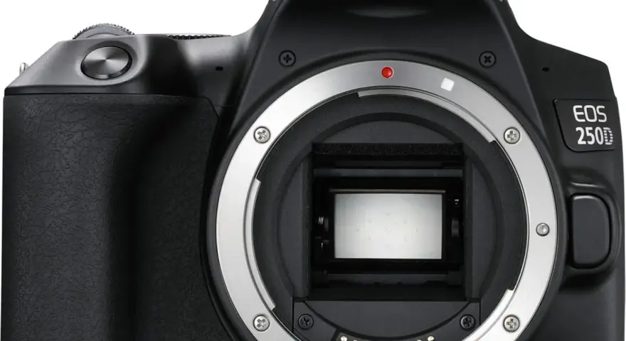 Najtańsza lustrzanka Canon: wybierz najlepszy model dla początkujących