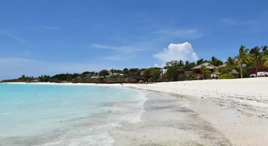 Rajskie zanzibar wakacje: biały piasek, turkusowa woda i palmy. Idealne miejsce na relaks.