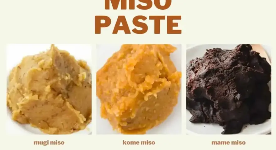Trzy rodzaje pasty miso: mugi, kome i mame, różniące się kolorem i teksturą.
