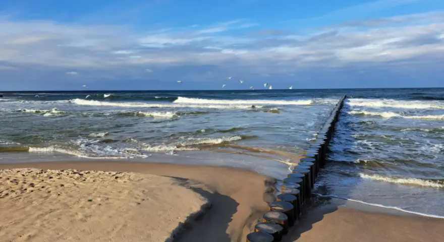 Pociągiem nad morze! Piękny dzień, fale rozbijają się o brzeg, a mewy szybują na błękitnym niebie.