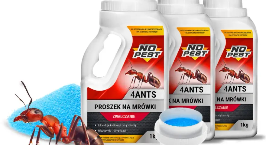 Proszek na mrówki "4ANTS" - najlepszy środek na mrówki, który skutecznie zwalcza całe kolonie. W zestawie z miarką.