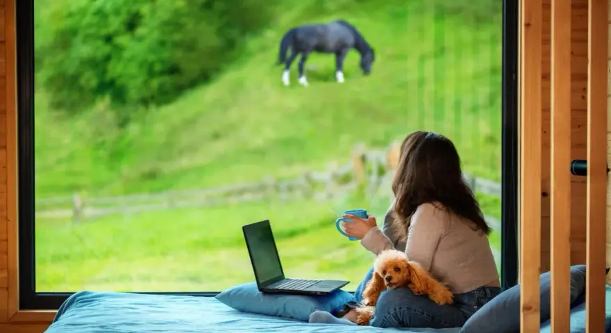 Femme avec un chien et un ordinateur portable, regardant un cheval brouter dans un champ verdoyant. La réglementation cheval sur terrain privé est une préoccupation.