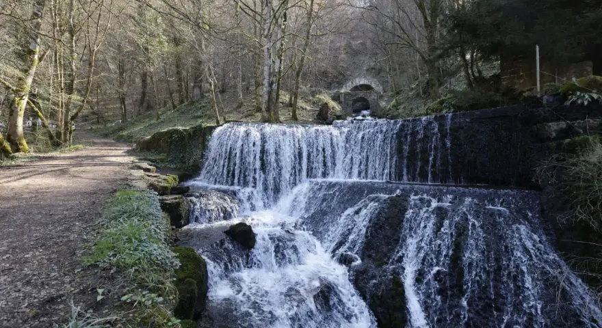 Cascade d'eau dans une forêt, un chemin de terre longe la rivière. Au fond, un tunnel voûté suggère une source d'arcier.