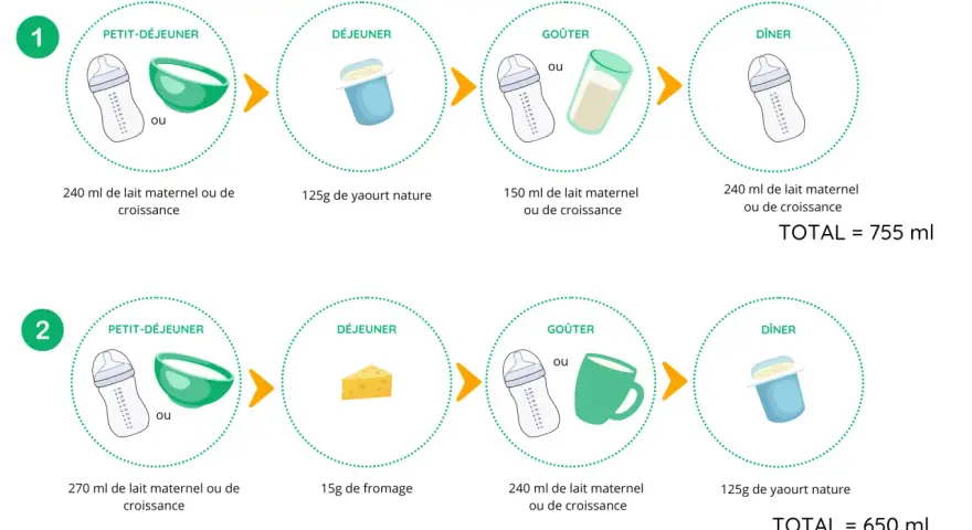 Deux journées types pour bébé : petit-déjeuner, déjeuner, goûter et dîner. On peut y voir du lait maternel ou de croissance, du yaourt, du fromage. Le petit lait est une option pour le petit-déjeuner.