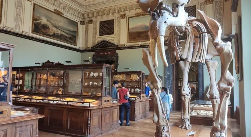 Szkielet mamuta w muzeum historii naturalnej wiedeń. W gablotach minerały i skamieniałości.