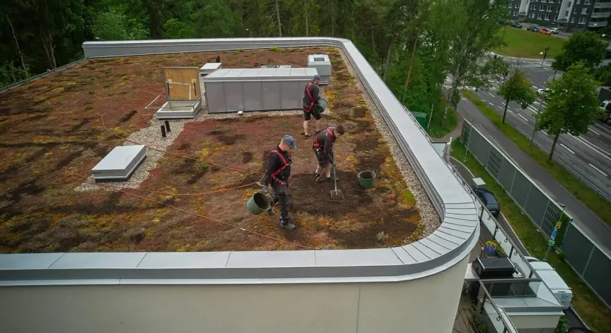 Arbetare sköter om ett sedumtak konstruktion. De planterar och vattnar, vilket bidrar till en grönare stadsmiljö.