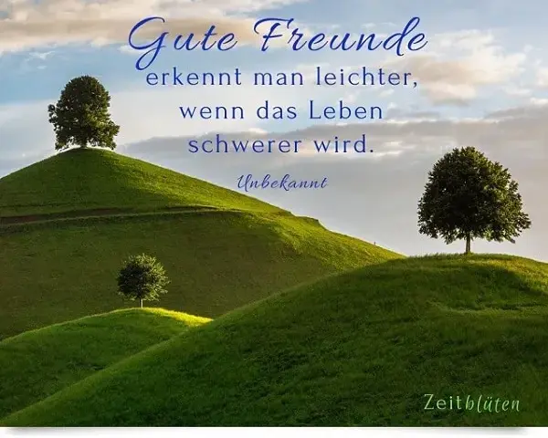 Kurze Freundschaftszitate: Perfekt für WhatsApp & Co.