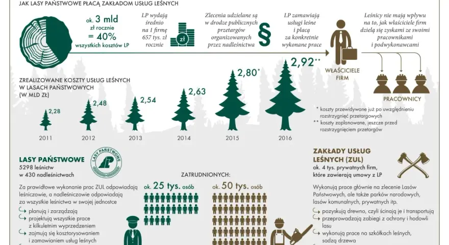 Infografika o rynku usług leśnych: koszty, zatrudnienie i struktura Lasów Państwowych.