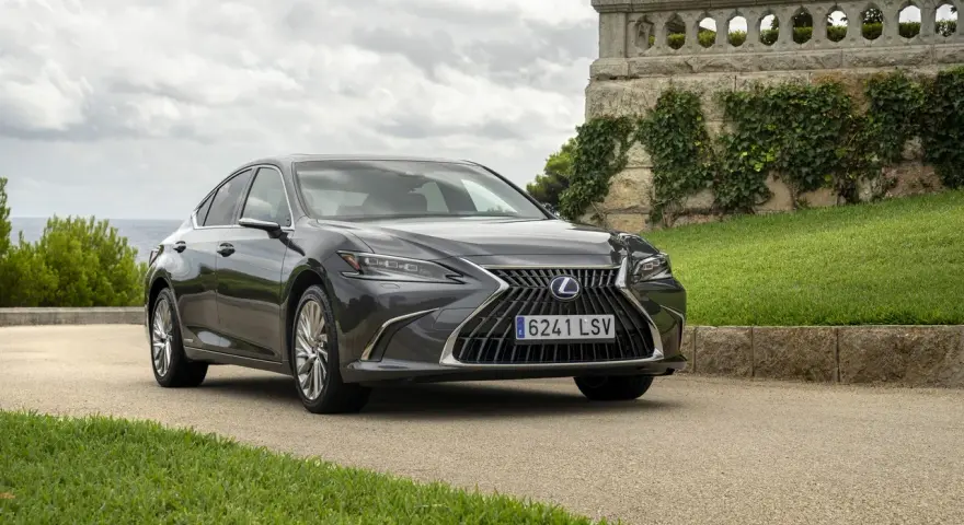 Elegancki, ciemnoszary Lexus 300h na tle kamiennego muru porośniętego bluszczem i zielonej trawy.