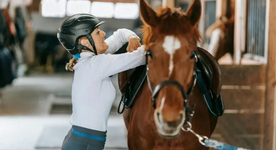 Une cavalière ajuste la selle de son cheval dans une **structure équestre**.