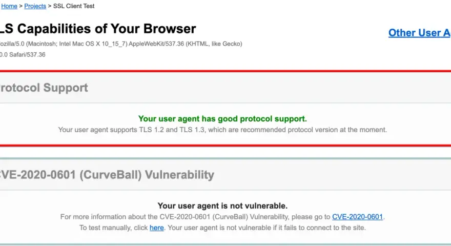 Browser test shows good protocol support, with TLS 1.2 and 1.3 enabled, and no CVE-2020-0601 vulnerability.