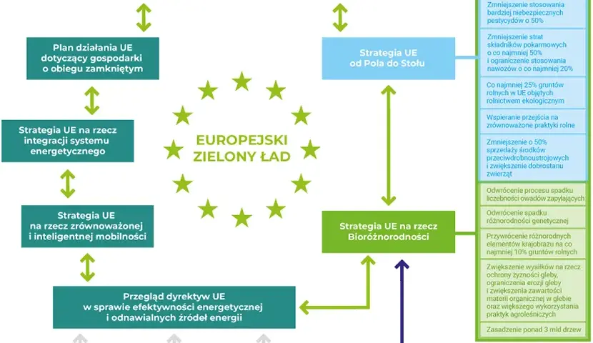 Co to jest zielony ład i jak wpłynie na przyszłość Europy?