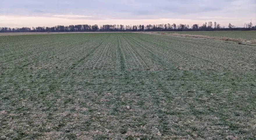 Zimowy krajobraz pól uprawnych na Lubelszczyźnie. Wartość ziemi rolnej w tym regionie jest kluczowa dla rolników.