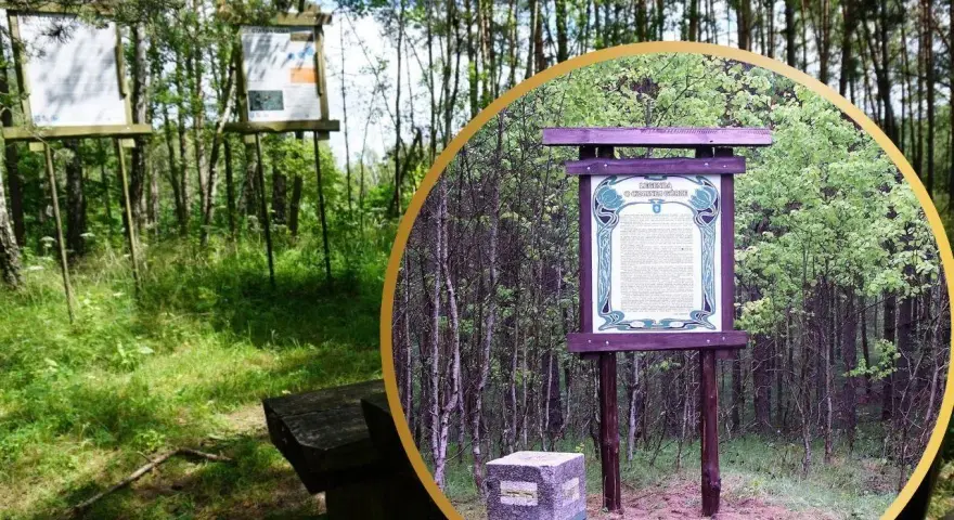 Tablica informacyjna o Czarnej Górze w Kujawsko-Pomorskiem, otoczona lasem.