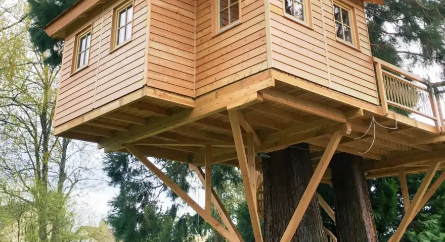 Ein wunderschönes Baumhaus, das auf zwei alten Bäumen gebaut wurde. Die Holzkonstruktion ist solide und einladend.