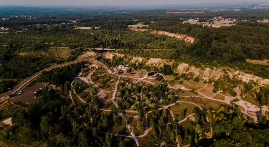 Widok z lotu ptaka na krajobraz z lasami, drogą i budynkami. W oddali widać miasto. To miejsce przypomina ptasią rzeczpospolitą, gdzie natura i cywilizacja współistnieją.