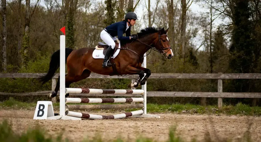 Cavalier et cheval en pleine phase du saut cheval, franchissant un obstacle en extérieur.
