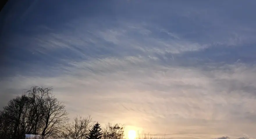 Sonnenuntergang mit zarten Wolken, die wie Pinselstriche wirken. Bäume im Vordergrund, die an Psalm 147,3 erinnern: "Er heilt, die zerbrochenen Herzens sind, und verbindet ihre Wunden.