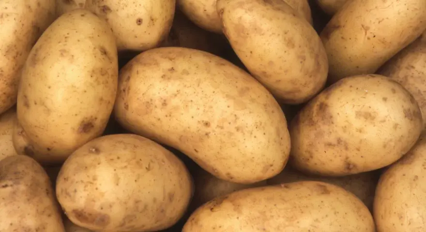 Un montón de patatas amarillas con manchas marrones. Descubre el patata valor nutricional 100g.