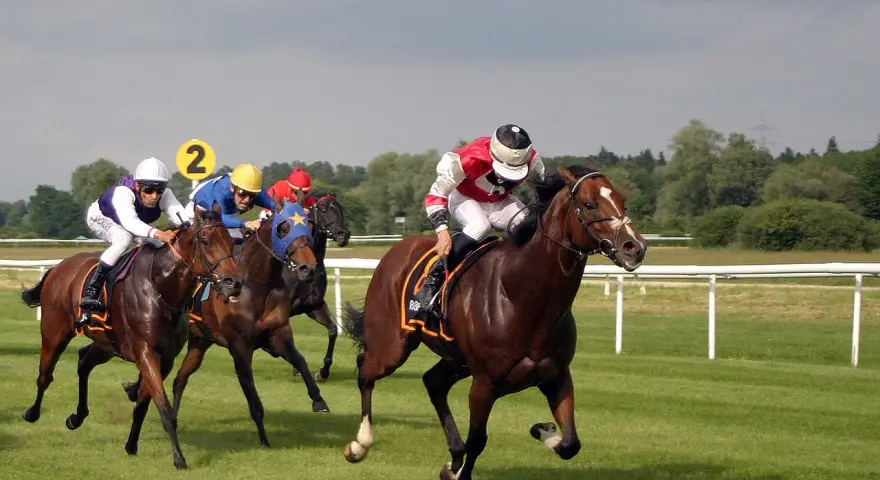 Course de chevaux : des jockeys en action sur l'hippodrome, le numéro 2 bien visible.