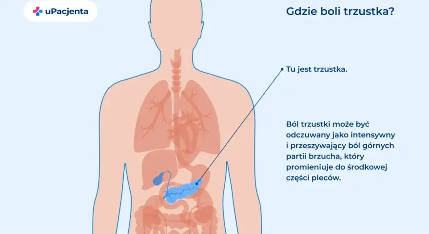 Ilustracja pokazuje lokalizację trzustki i opisuje objawy chorej wątroby i trzustki: ból brzucha promieniujący do pleców.