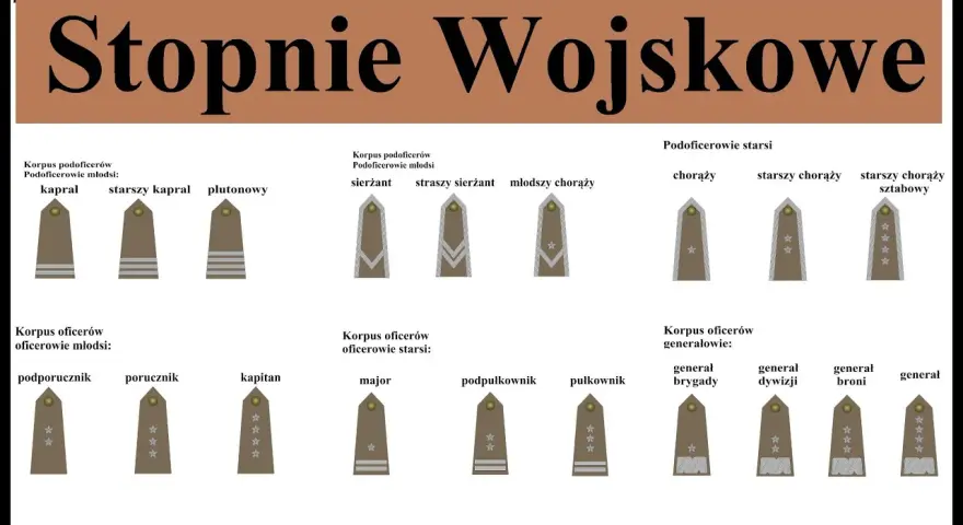 Podporucznik po studiach: Twoja ścieżka kariery oficerskiej