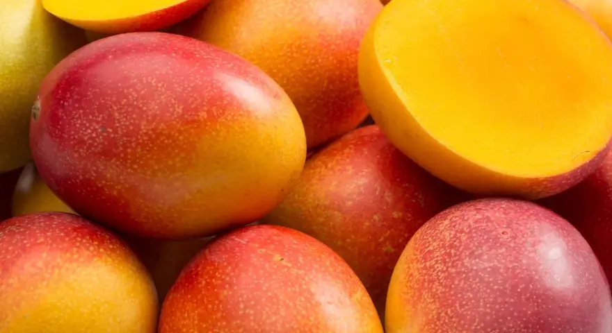 Soczyste mango, czy jest zdrowe? Tak, to tropikalny przysmak pełen witamin.