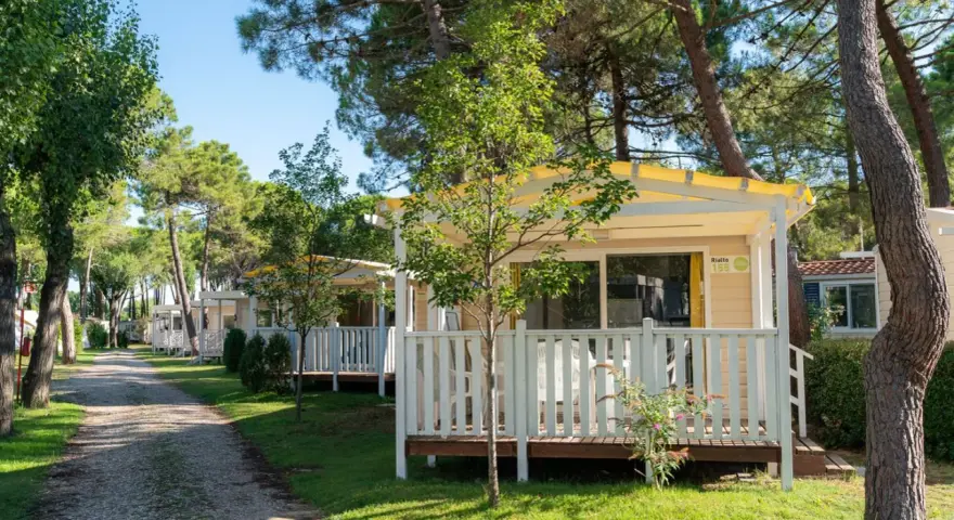Uroczy camping Rialto z domkami letniskowymi w otoczeniu drzew.