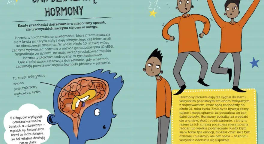 Ilustracja przedstawia etapy dojrzewania u chłopców, pokazując mózg i chłopców reagujących na hormony.