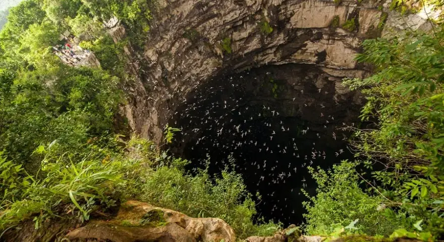 Sótano de las Golondrinas: ¿Listo para el espectáculo de aves? Guía