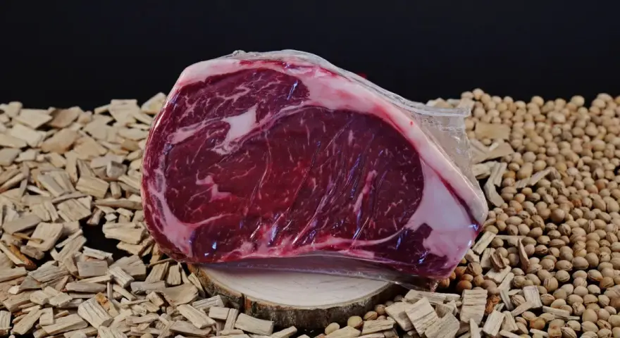 Bistecca di Chianina, un taglio pregiato, pronto per essere cucinato alla tedesca, su un letto di legnetti e noccioli.