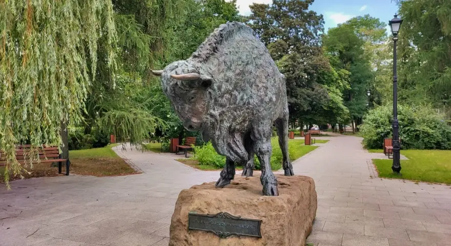 Pomnik żubra, symbol Hajnówki, w parku. Wspaniałe **hajnówka atrakcje** dla miłośników przyrody i historii.