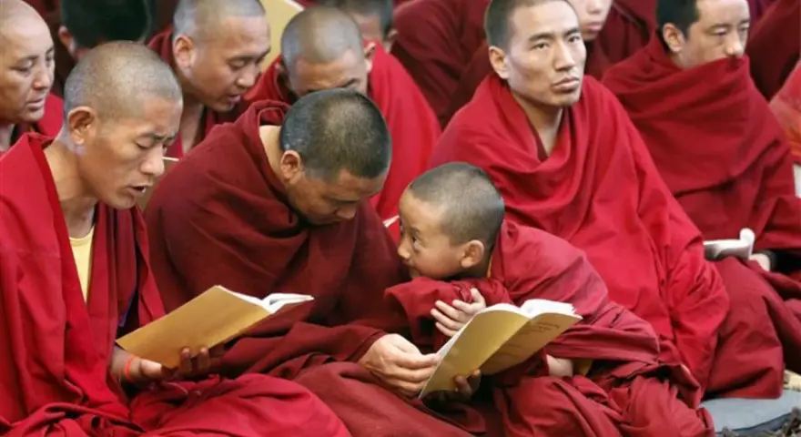 Monks in red robes study texts. Their peaceful lives, dedicated to learning, make one wonder how long do monks live.