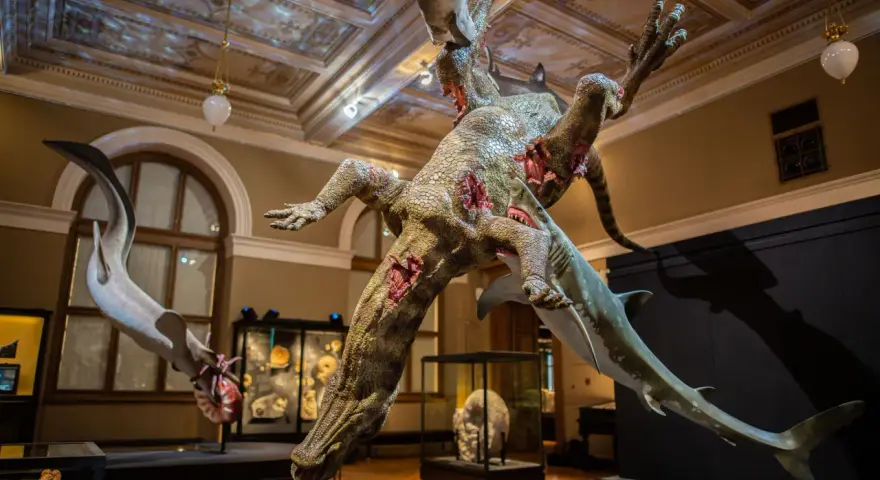 Muzeum sztuki Praga: Odkryj najważniejsze miejsca i wystawy