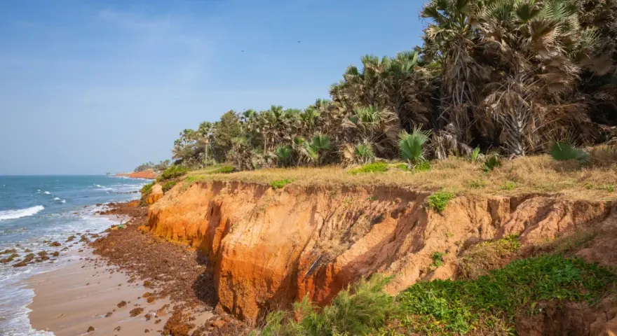 Malownicze plaże Gambii z klifami porośniętymi palmami. Oceaniczne fale rozbijają się o brzeg.