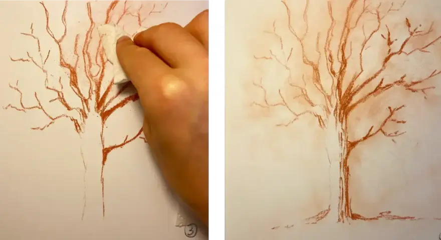 Un dessin sanguine d'un arbre aux branches fines, une main estompe le trait.